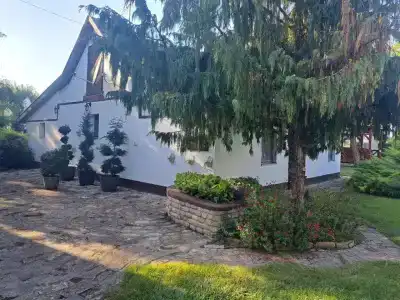 Salaš Đorđević - 35