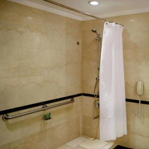 Hilton Buenos Aires - 58