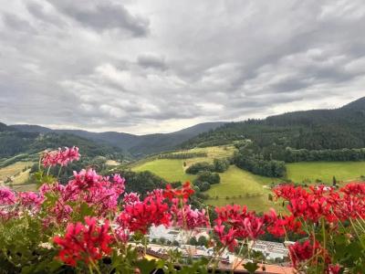 Schauinsland - 18