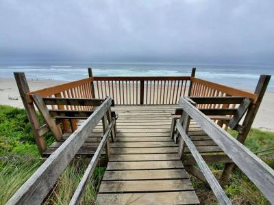 Surfland - 9