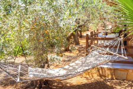 Olympos Mocamp - 28