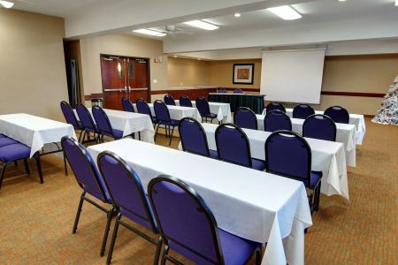 Phoenix Inn Suites - - 11