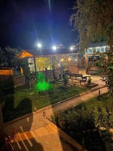 Zoia - 11