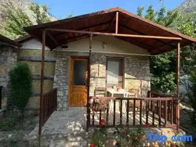 Kidrak - 29