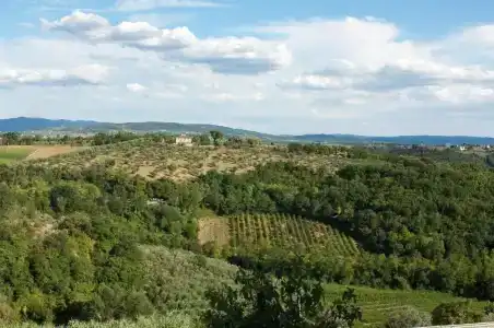 Villa Il Fedino - 24