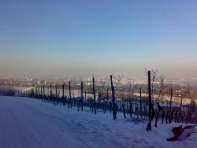 City Fellbach Kontaktloser Check-In - 18