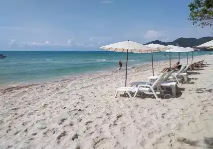 Samui Green - 11
