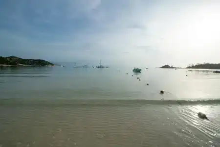 Bay Beach Resort - 16