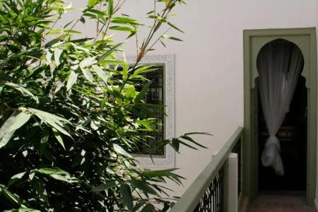 Riad Timila - 24