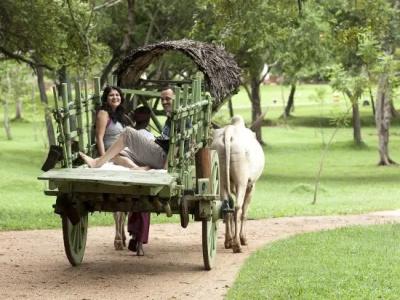 Amaya Lake Dambulla - 6