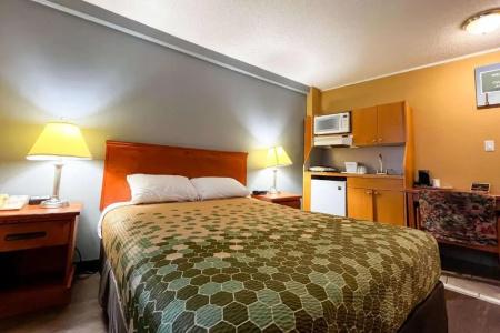 Econo Lodge Village - 75