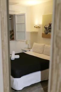 Tremo Boutique Bellas Artes - 26