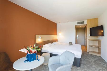 ibis Styles Aix les Bains - 60