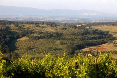 Casale Sterpeti - 13
