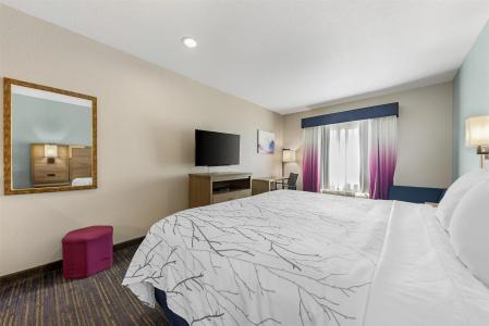 Best Western Plus San Antonio East Inn & Suites - 46