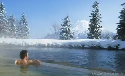 The Green Leaf, Niseko Village - 16