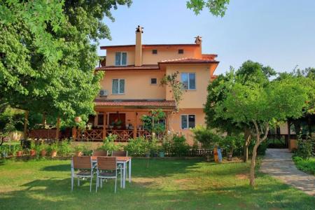 Dalya Life - 38