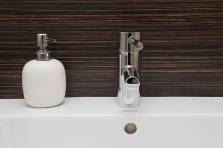 AltstadtGrauer Wolf - 8