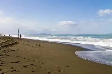 Paradiso Verde - 19