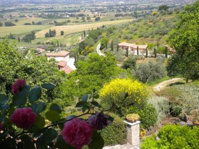 Il Poggio degli Olivi - 73