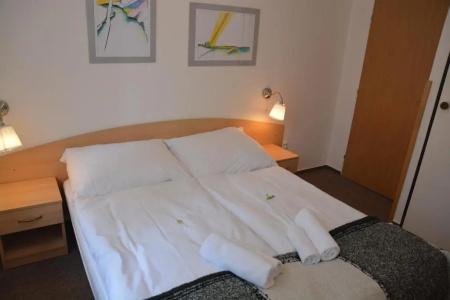 Wellness Vila Bohemia - 14
