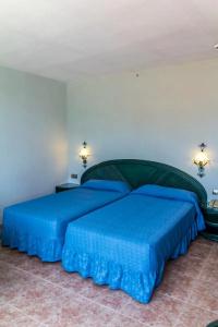 Kaktus Albir - 58