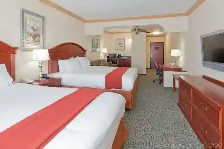 Holiday Inn Express & Suites Central - 2