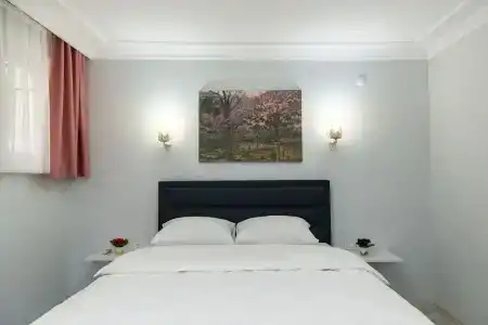 Dualis - 346