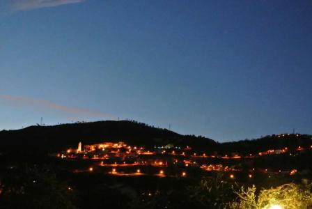 Residence Orchidea - 78