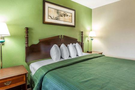 Quality Inn & Suites North - 16