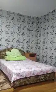 Тайга - 6