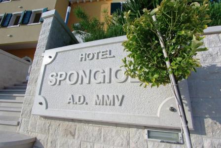 Spongiola - 0