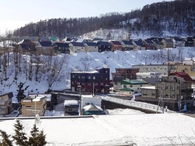 Otaru Harvest - 15