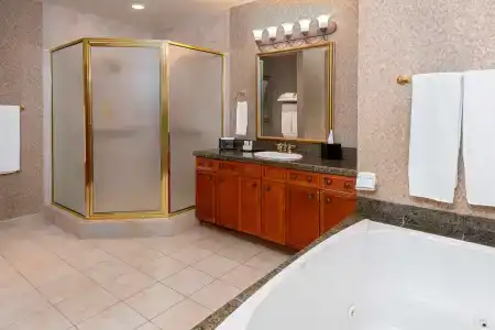 Embassy Suites - 8