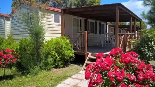 New Camping Le Tamerici - 18