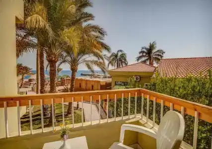 Palm Beach Resort Families and Couples only - 38