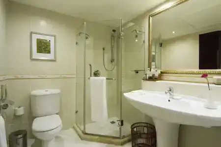 Grand Excelsior - 87