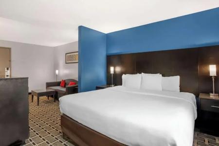 Comfort Suites Airport Nashville - 48