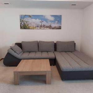 Grünberger superior - 17