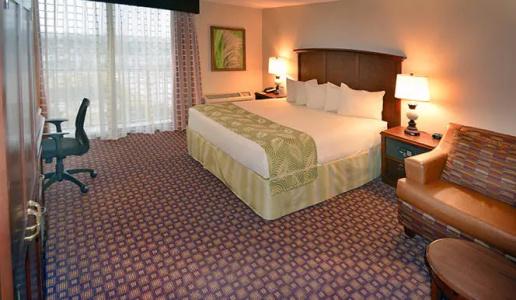 Rosen Inn Closest to Universal - 55