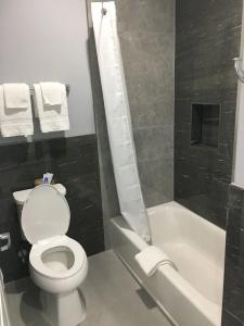 Fairfield Inn and Suites by Marriott Houston Brookhollow - 11
