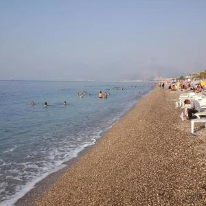 Kartal - 39