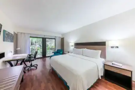 Holiday Inn Guadalajara Expo Plaza Del Sol, An Ihg - 80