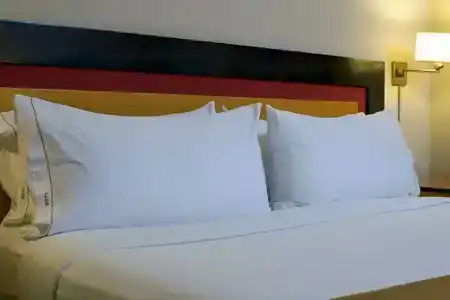 Holiday Inn Express Puerto Madero, An Ihg - 69