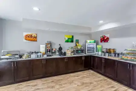 Quality Inn & Suites I-10 - 9