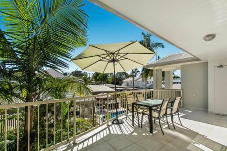 Noosa River Palms - 96