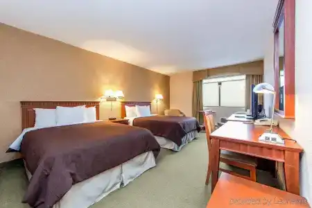 Universel Montréal - 5
