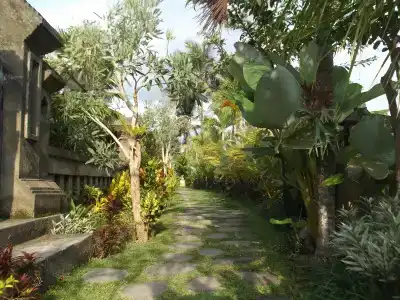 Jj And Spa - 11