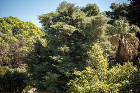 Parco delle Fontane - 57