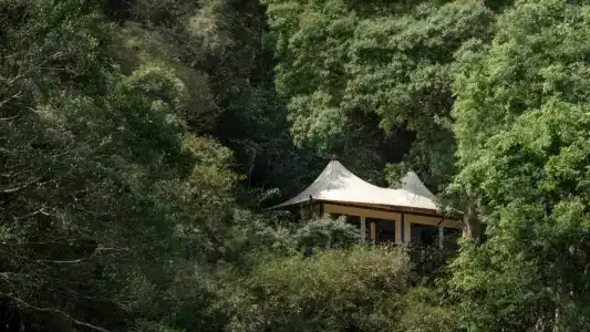 Four Seasons Tented Camp Golden Triangle-Sha Extra Plus - 21